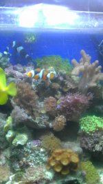 IMAG0433.jpg