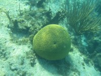 IMG_3869.jpg