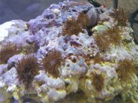 20120209_110329.jpg