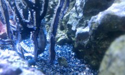 IMAG0545.jpg