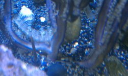 IMAG0537.jpg