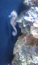 IMAG0540.jpg