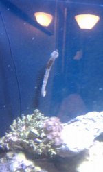IMAG0541.jpg
