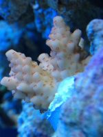 IMG_0555.jpg