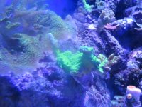 IMG_0251.jpg