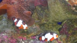 IMAG0928.jpg