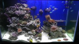 IMAG0921.jpg