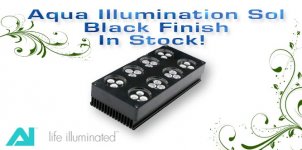 ai_sol_black.jpg