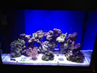 IMG_0646.jpg