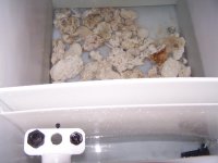 100_2693.jpg