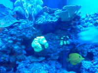 20120811_211745.jpg