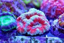 H2o_02.02.2011_25.JPG