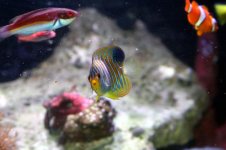 IMG_1166.jpg