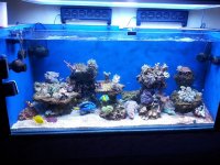 20130224_115514.jpg