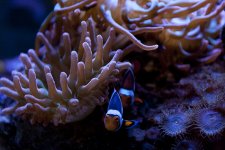 IMG_7528.jpg