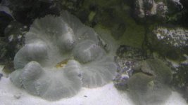 IMAG0998.jpg
