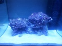20121002_205831.jpg