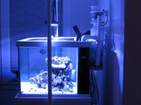 45g tank 017.jpg