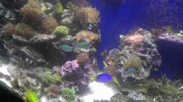 IMAG1041.jpg