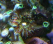IMG_6441.JPG