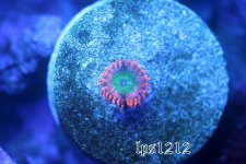 IMG_3633.JPG