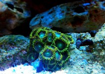 IMG_2202.jpg