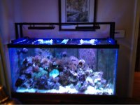 ImageUploadedByReefs1342022791.011820.jpg