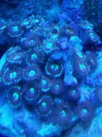 20121123_224829.jpg