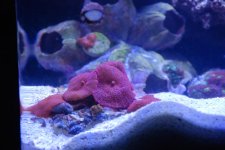 DSC_3768_027.jpg