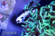 IMG_2922.JPG