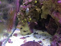 IMG_7170.jpg