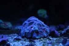IMG_2432.JPG