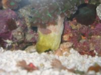 IMG_0128.JPG