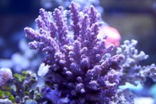 IMG_6570.jpg