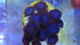 IMAG0434.jpg