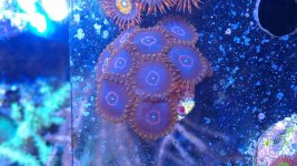 IMAG0443.jpg