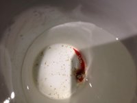 photo.jpg