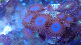 IMAG0450.jpg