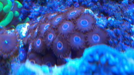 IMAG0456.jpg