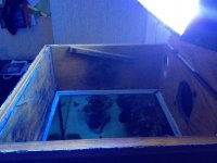 IMG_0679.jpg