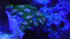 IMAG1305.jpg