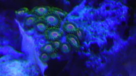 IMAG1307.jpg