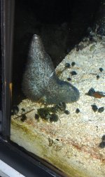 IMAG0403.jpg