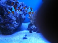 IMG_0107.jpg