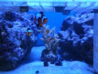 IMG_0108.jpg