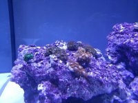 20121010_154053.jpg