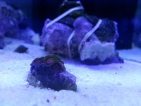 20121010_154111.jpg