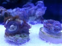 20121010_154118.jpg