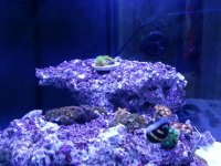 20121010_154135.jpg