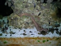 20120716_222307.jpg